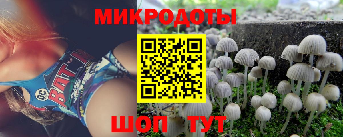Узловая  Галлюциногенные грибы Psilocybine cubensis  Вход с VPN  Галлюциногенные грибы прущие грибы 
